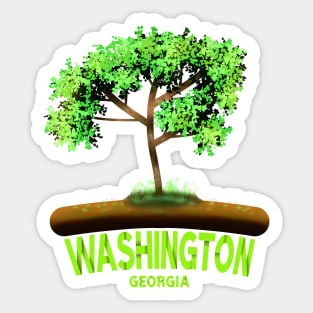 Washington Georgia Sticker